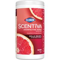 Lingettes d&eacute;sinfectantes, 75 lingettes PB Rental Co. Ltd.