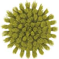 Brosse ronde HyDrive pour perceuse, Soies Tr&egrave;s ferme, Longueur de 3-1/10", Jaune PB Rental Co. Ltd.