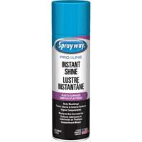 Pro Line Instant Shine for Plastic Surfaces, 11 oz., Aerosol Can PB Rental Co. Ltd.