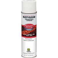 Peinture de marquage &agrave; base d'eau, 17 oz, Canette a&eacute;rosol PB Rental Co. Ltd.