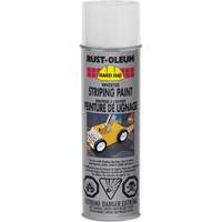 Inverted Marking Paint Spray, White, Aerosol Can PB Rental Co. Ltd.