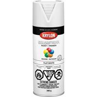 COLORmaxx Paint + Primer, White, Very Flat, 12 oz., Aerosol Can PB Rental Co. Ltd.