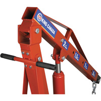 Grues d'atelier escamotables de 2 tonnes, Capacit&eacute; 4000 lb (2 tonnes) PB Rental Co. Ltd.