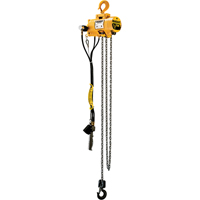 Budgit&reg; Air Chain Hoists PB Rental Co. Ltd.