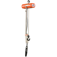 ShopStar Electric Hoists, 10' Lift, 250 lbs. (0.125 tons) Capacity, 16 FPM PB Rental Co. Ltd.