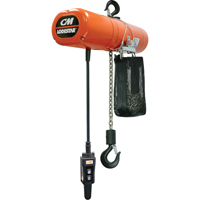 Lodestar Electric Chain Hoists, 10' Lift, 250 lbs. (0.125 tons) Capacity, 32 FPM PB Rental Co. Ltd.