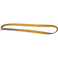 &eacute;lingues de levage en polyester, Pli Simple, Sans fin, Type 5, 2" la x 3' lo, Capacit&eacute; verticale 6200 lb PB Rental Co. Ltd.