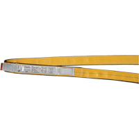 &eacute;lingues de levage en polyester, Pli Simple, Sans fin, Type 5, 2" la x 3' lo, Capacit&eacute; verticale 6200 lb PB Rental Co. Ltd.
