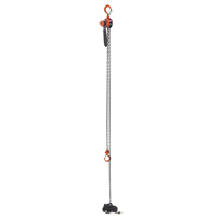 Mini Lever Hoist, 15' Lift, 500 lbs. (0.25 tons) Capacity, Steel Chain PB Rental Co. Ltd.