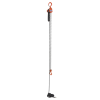 Mini Lever Hoist, 15' Lift, 500 lbs. (0.25 tons) Capacity, Steel Chain PB Rental Co. Ltd.