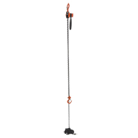 Mini Lever Hoist, 15' Lift, 500 lbs. (0.25 tons) Capacity, Steel Chain PB Rental Co. Ltd.