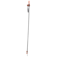 Mini Lever Hoist, 10' Lift, 1000 lbs. (0.5 tons) Capacity, Steel Chain PB Rental Co. Ltd.