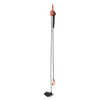 Mini Lever Hoist, 15' Lift, 1000 lbs. (0.5 tons) Capacity, Steel Chain PB Rental Co. Ltd.