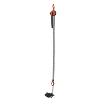 Mini Lever Hoist, 15' Lift, 1000 lbs. (0.5 tons) Capacity, Steel Chain PB Rental Co. Ltd.