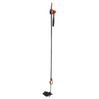 Mini Lever Hoist, 20' Lift, 1000 lbs. (0.5 tons) Capacity, Steel Chain PB Rental Co. Ltd.