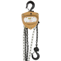Heavy-Duty Gold Series Chain Hoist, 10' Lift, 1000 lbs. (0.5 tons) Capacity, Alloy Steel Chain PB Rental Co. Ltd.