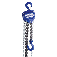 Chain Hoist, 10' Lift, 2000 lbs. (1 tons) Capacity, Load Chain Grade 80 Chain PB Rental Co. Ltd.
