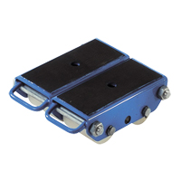 Pakrol 4-Wheel Polyurethane Skate PB Rental Co. Ltd.