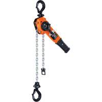Series 653-A Ratchet Lever Hoist, 5' Lift, 1500 lbs. (0.75 tons) Capacity, Steel Chain PB Rental Co. Ltd.