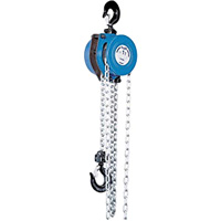 Tralift&reg; Manual Chain Hoist, 10' Lift, 4000 lbs. (2 tons) Capacity, Grade 80 Chain PB Rental Co. Ltd.