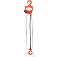 Chain Hoist, 10' Lift, 1000 lbs. (0.45 tons) Capacity, Alloy Steel Chain PB Rental Co. Ltd.