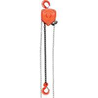 Chain Hoist, 20' Lift, 1000 lbs. (0.45 tons) Capacity, Alloy Steel Chain PB Rental Co. Ltd.