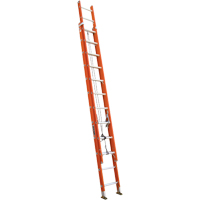 &eacute;chelles &agrave; coulisse robustes, Cap 300 lb, 21' h, Calibre 1A PB Rental Co. Ltd.