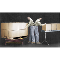 Spring-Operated Pallet Lifters - Pallet Pal&reg;, 43-5/8" L x 43-5/8" W, 4500 lbs. Cap. PB Rental Co. Ltd.
