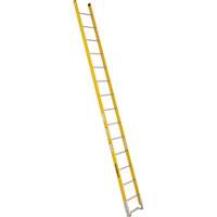 Single Section Straight Ladder - 6100 Series, 14', Fibreglass, 375 lbs., CSA Grade 1AA PB Rental Co. Ltd.