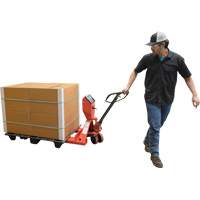 Transpalette, 48" lo x 27,5" la, Capacit&eacute; de 5000 lb PB Rental Co. Ltd.