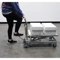 Hydraulic Scissor Lift Table, 31-1/2" L x 19-1/2" W, Stainless Steel, 550 lbs. Capacity PB Rental Co. Ltd.
