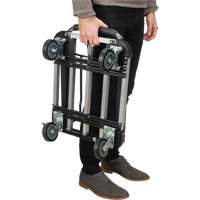 Foldable Platform Trucks, Aluminum, 300 lbs., 28" L x 16" W, 32" High PB Rental Co. Ltd.