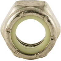 Nylon Lock Nut, 3/8" Dia., Stainless Steel, Coarse PB Rental Co. Ltd.