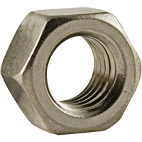 Hex Nut, 1/4", Stainless Steel, Fine Thread PB Rental Co. Ltd.