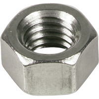 Hex Nuts