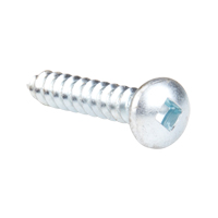 Tapping Screw Pan Head, #12 x 1-1/4" L, Zinc Plated PB Rental Co. Ltd.