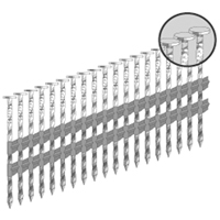 21° Strip Nails - Plastic Collated PB Rental Co. Ltd.