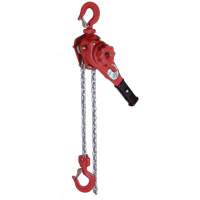 VQ Series Super Light Lever Hoist, 10' Lift, 2300 lbs. (1.6 tons) Capacity, Zinc Chain PB Rental Co. Ltd.
