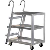 Chariot de pr&eacute;l&egrave;vement de stock, Aluminium, 21-7/8" la x 40" p, 3 tablettes, Capacit&eacute; 660 lb PB Rental Co. Ltd.