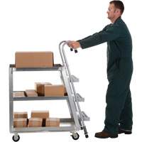 Chariot de pr&eacute;l&egrave;vement de stock, Aluminium, 21-7/8" la x 40" p, 3 tablettes, Capacit&eacute; 660 lb PB Rental Co. Ltd.