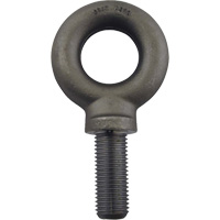 Boulon &agrave; oeil en acier alli&eacute;, 2-3/16" dia, 3" lo, 18 400 lb/18400 lb (9,2 tonnes) capacit&eacute; PB Rental Co. Ltd.
