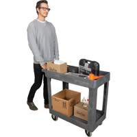 Utility Service Cart, 2 Tiers, 16-1/2" x 32-1/2" x 34-1/2", 550 lbs. Capacity PB Rental Co. Ltd.