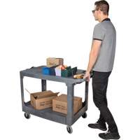 Flat-Shelf Utility Service Cart, 2 Tiers, 25-1/4" x 32-1/4" x 44", 550 lbs. Capacity PB Rental Co. Ltd.