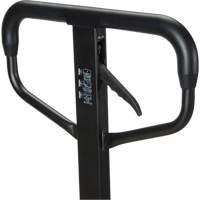 Quick-Lift Manual Pallet Truck, Steel, 48" L x 20.5" W, 5500 lbs. Capacity PB Rental Co. Ltd.