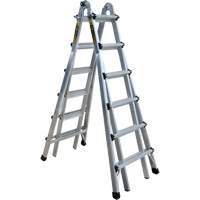&eacute;chelle t&eacute;lescopique multifonction, Aluminium, 300 lb PB Rental Co. Ltd.