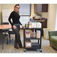 Electric Utility Cart, 3 Tiers, 24" x 42" x 18", 300 lbs. Capacity PB Rental Co. Ltd.