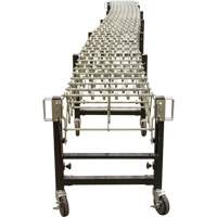 Expandable Conveyor, 18" W x 12' L, 200 lbs. per lin. ft. Capacity PB Rental Co. Ltd.