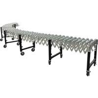 Expandable Conveyor, 18" W x 12' L, 200 lbs. per lin. ft. Capacity PB Rental Co. Ltd.