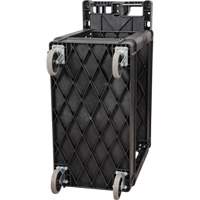 Chariot utilitaire, 2 tiers, 17-1/8" x 33-1/2" x 37-5/8", Capacit&eacute; 550 lb PB Rental Co. Ltd.