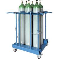 6-Cylinder Forklift Cylinder Storage Caddy PB Rental Co. Ltd.